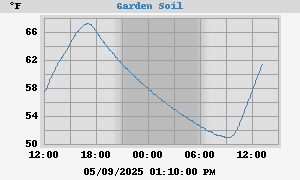 Soil Temperatures