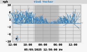 Wind Vector